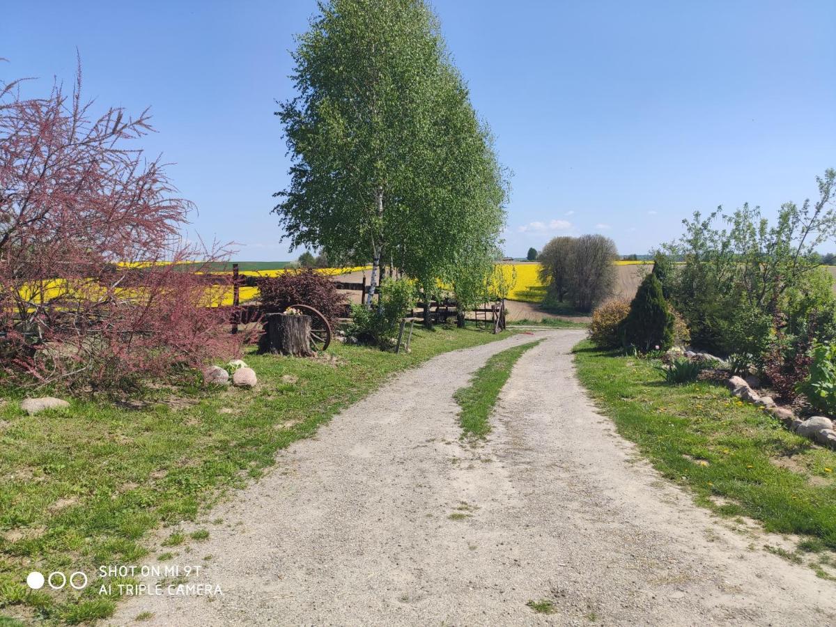 Balkanowka Krasniczyn ภายนอก รูปภาพ