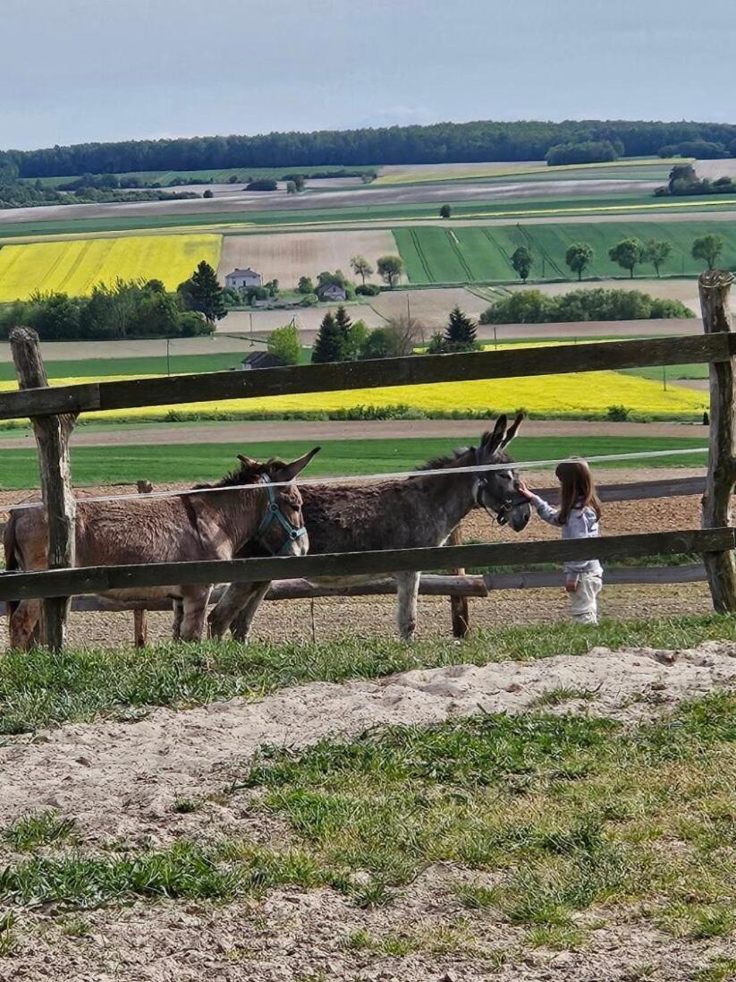 Balkanowka Krasniczyn ภายนอก รูปภาพ